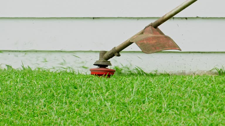 Best Lawn Grading and Leveling  in Washington Park, IL
